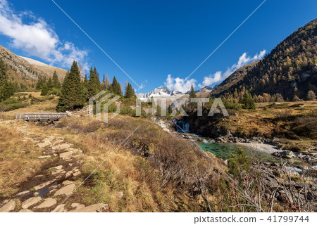 Peak of Care Alto - Adamello Trento Italy Peak of Care Alto - Adamello Trento Italy 41799744