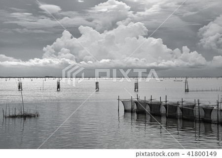 Floating basket for fishery industrial 41800149