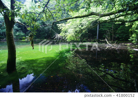 Pond in Silanuta 41800152