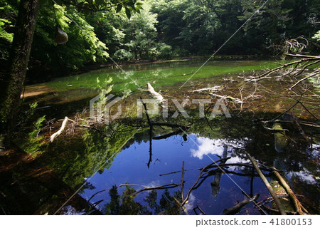 Pond in Silanuta 41800153
