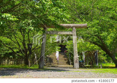  Shimozen神社 41800177