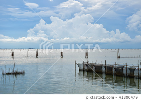 Floating basket for fishery industrial, Songkhla Floating basket for fishery industrial, Songkhla 41800479