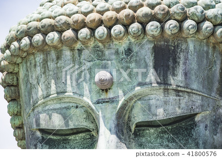 [Great Buddha Kamakura] 41800576