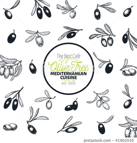 Olive tree banner template. Vector vintage illustration. Hand drawn engraved style illustration 41802030