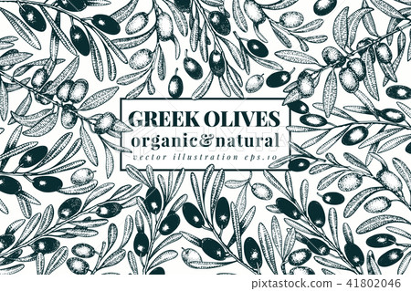 Olive Tree Banner Template Vector Vintage Stock Illustration
