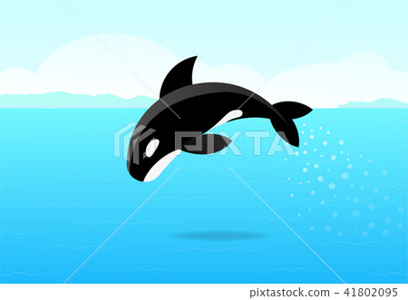 Killer whale jumping on sea, flat vector art Killer whale jumping on sea, flat vector art 41802095