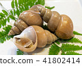 A bail shell 41802414