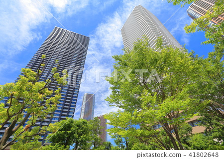 Musashi Kosugi high-rise apartment group 41802648