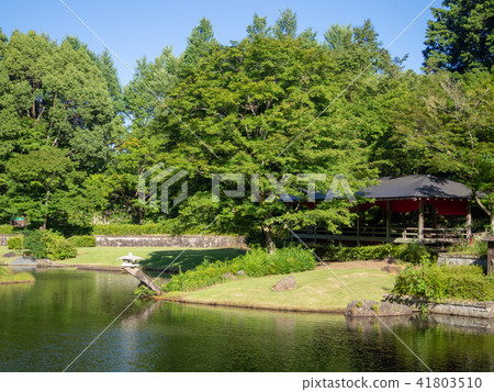 [Izu] Japanese garden scenery with a pond [Shuzenji Rainbow Village] 41803510