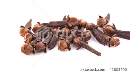 dry cloves on white background dry cloves on white background 41803790