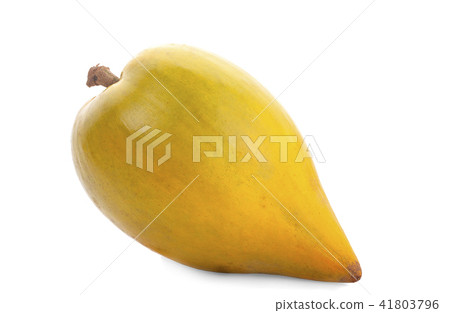 Egg fruit, Canistel, Yellow Sapote(Kunth) Egg fruit, Canistel, Yellow Sapote(Kunth) 41803796
