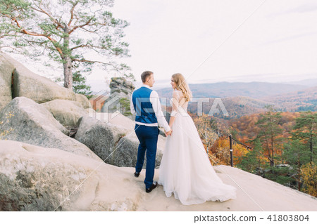 Happy newlywed couple holding hands while standing on the rock. Back view. 41803804