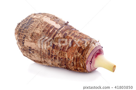 taro isolated on white background taro isolated on white background 41803850