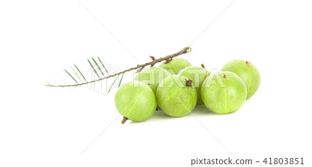 fresh makhampom isolated on white 41803851
