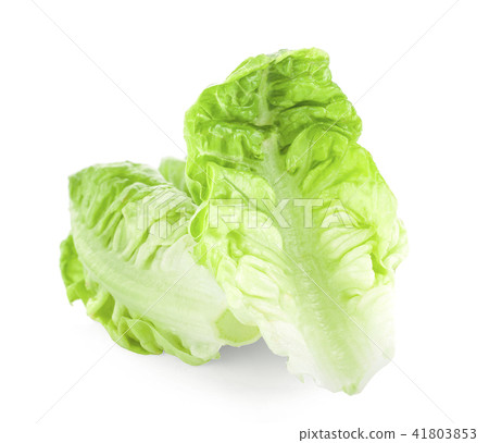 chinese cabbage isolated on white background chinese cabbage isolated on white background 41803853