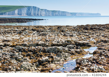 White chalk cliffs Cuckmere Haven White chalk cliffs Cuckmere Haven 41804244