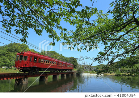 和歌山電工 41804384