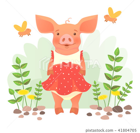 piggy in dress piggy in dress 41804705