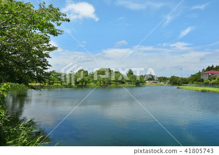Chosei Village Nikata綜合公園 Chosei Village Nikata綜合公園 41805743