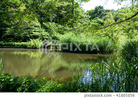 國立自然教育公園東京 41805856