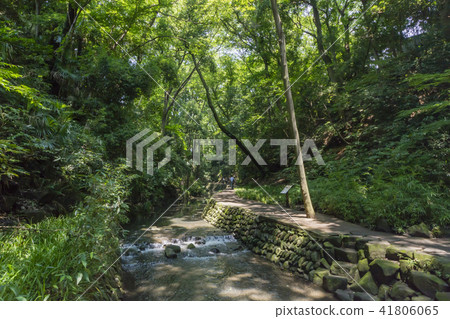 恍惚谷谷澤河 41806065