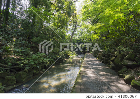 恍惚谷谷澤河 恍惚谷谷澤河 41806067