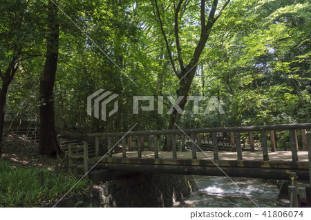 恍惚谷谷澤河 41806074