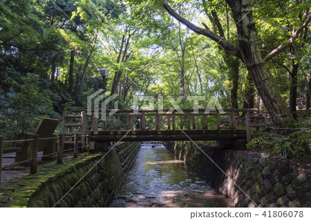 Trance Valley Tanizawa River Trance Valley Tanizawa River 41806078