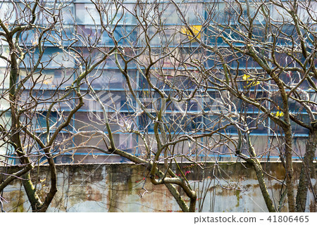 冬季的枯木與建築 冬の枯木と建築 Dead Branches in Front a Building 41806465