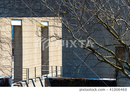 冬季的枯木與建築 冬の枯木と建築 Dead Branches in Front a Building 冬季的枯木與建築 冬の枯木と建築 Dead Branches in Front a Building 41806468