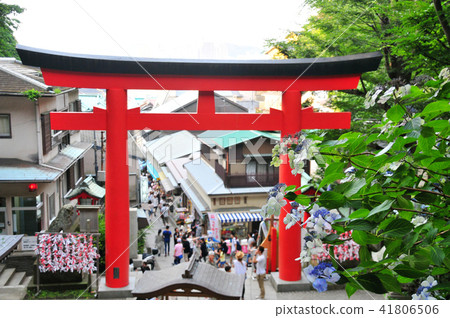 Eroshima Shrine · Torii Torii and hydrangea 41806506
