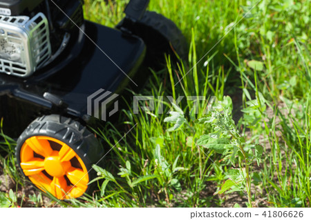 Grass cutter stands on green lawn, closeup 41806626