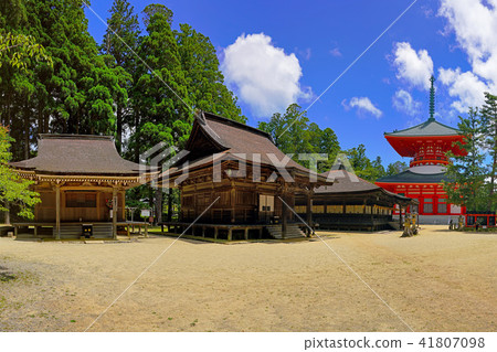 [高層版]和歌山縣伊藤郡高野町高野山 41807098