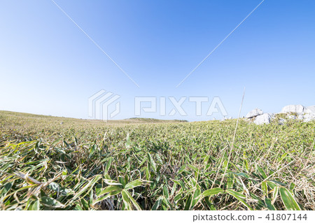 Shikoku karst 41807144