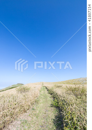 Shikoku karst 41807154