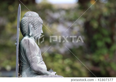 Rikuji Rikuji 41807377