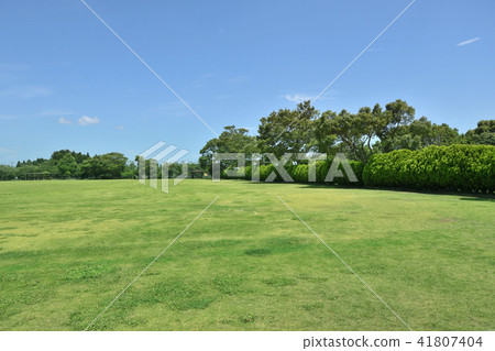 Chosei Village Nikata綜合公園 Chosei Village Nikata綜合公園 41807404