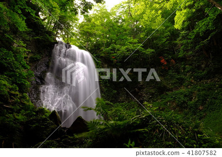 Onogawa immobile waterfall 41807582