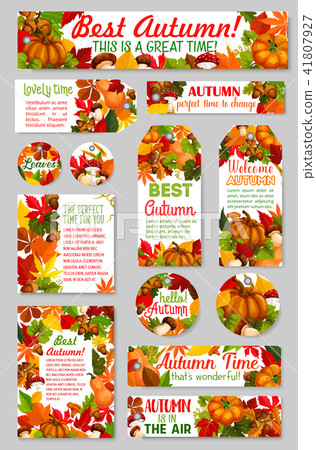 Autumn tags acorn leaf, pumpkin vector greeting Autumn tags acorn leaf, pumpkin vector greeting 41807927