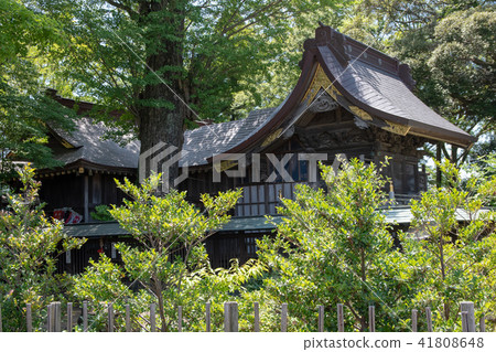 Maka Takashi Shrine Maka Takashi Shrine 41808648