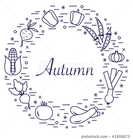 different autumn seasonal vegetables arranged in a 41808873