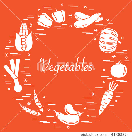 different autumn seasonal vegetables arranged in a different autumn seasonal vegetables arranged in a 41808874