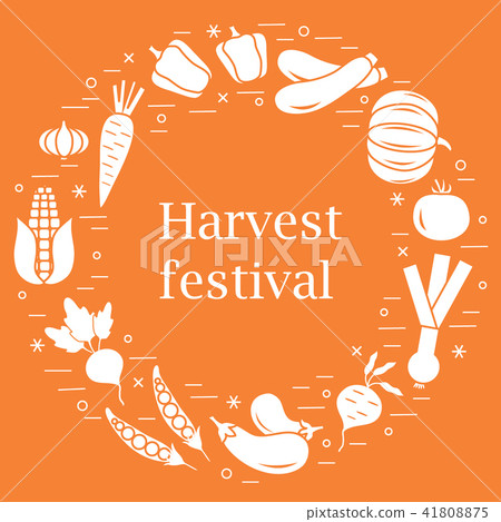different autumn seasonal vegetables arranged in a different autumn seasonal vegetables arranged in a 41808875