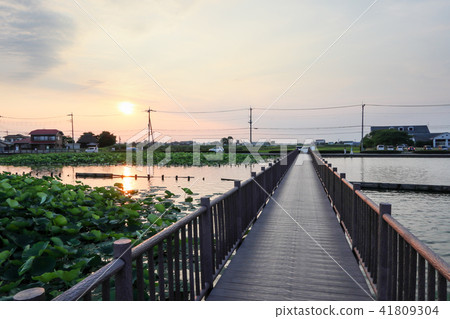 Isauma Promenade 41809304