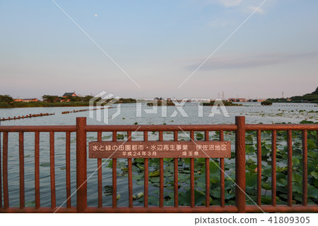 Isauma Promenade 41809305