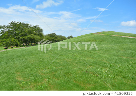 Chosei Village Nikata綜合公園 41809335