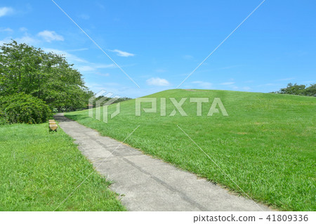 Chosei Village Nikata綜合公園 Chosei Village Nikata綜合公園 41809336