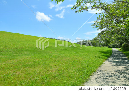 Chosei Village Nikata Comprehensive Park 41809339