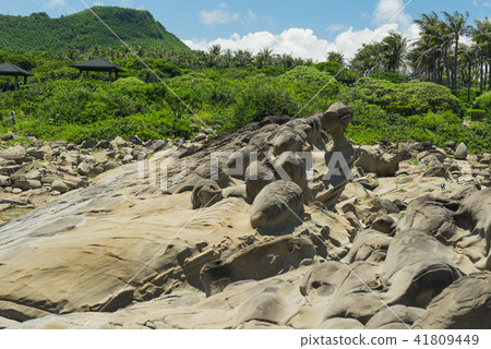 台灣東部的奇岩景觀小野柳 41809449