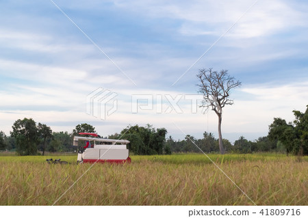combine harvester harvesting machine working combine harvester harvesting machine working 41809716